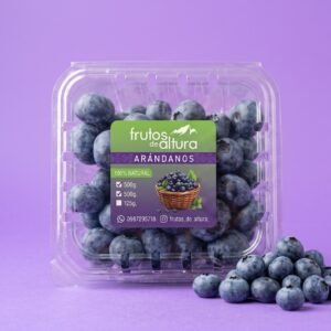 Arándano-Paquete De 500 g