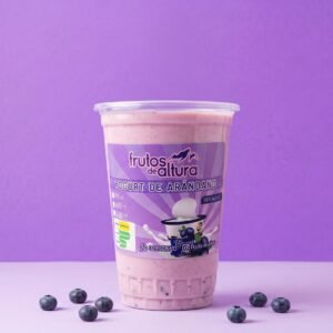 Yogurt de Arándano 200 ml