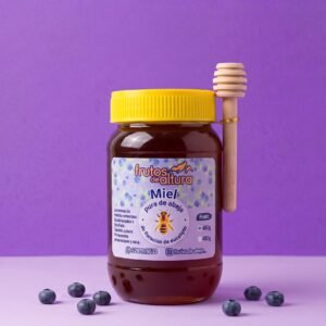 Miel Pura de Abeja de Floración de Arándano 800 g